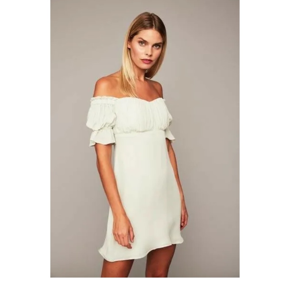 Stone cold fox silk mint color dress with boning and ruching at bust